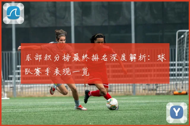 东部积分榜最终排名深度解析：球队赛季表现一览