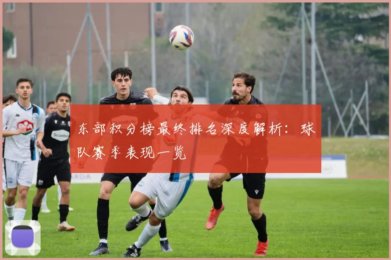 东部积分榜最终排名深度解析:球队赛季表现一览